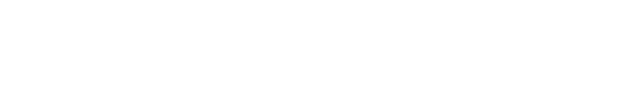 Fast Track